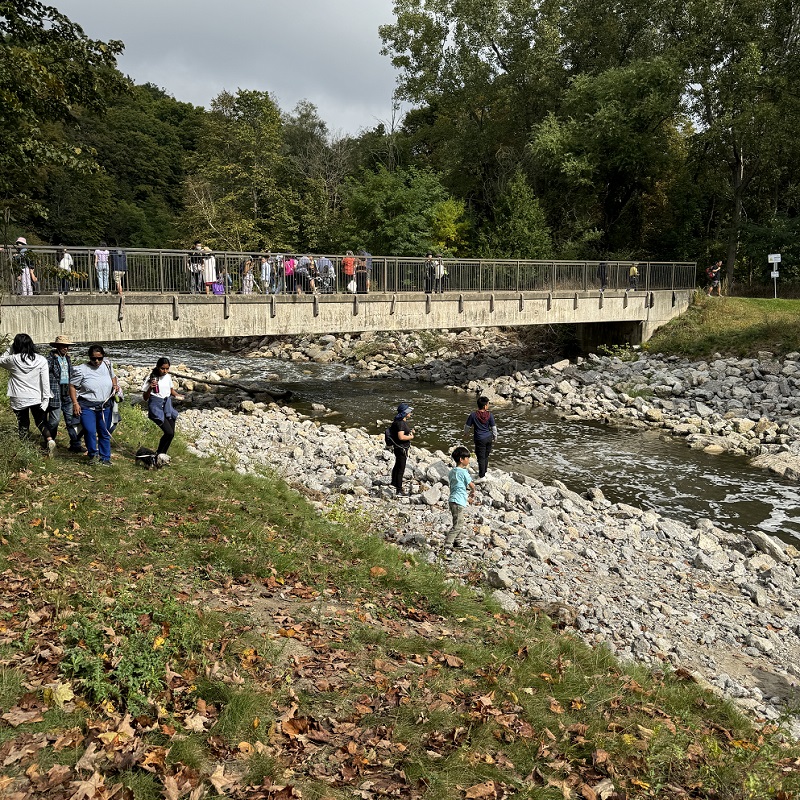 community members take part in the TRCA Adventures of Salmon event at Morningside Park