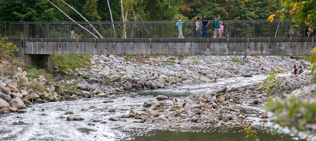community members take part in a self-guided tour of Morningside Park at the TRCA Adventures in Salmon event