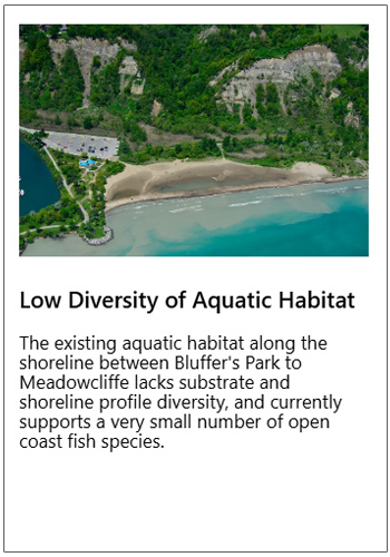 Scarborough Waterfront Project - West Segment Shoreline trail - key issues map - Stop 4- Low Diversity of Aquatic Habitat