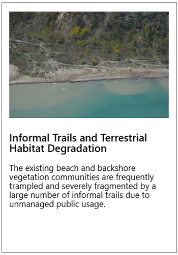 Scarborough Waterfront Project - West Segment Shoreline trail - key issues map - Stop 5- Informal Trails and Terrestrial Habitat Degradation
