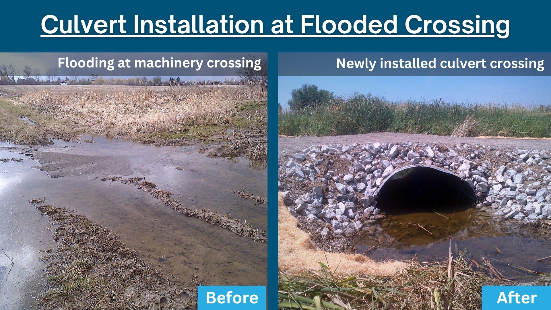 Barnyard-Runoff-Control-Clean-Water-Diversion-Before-After