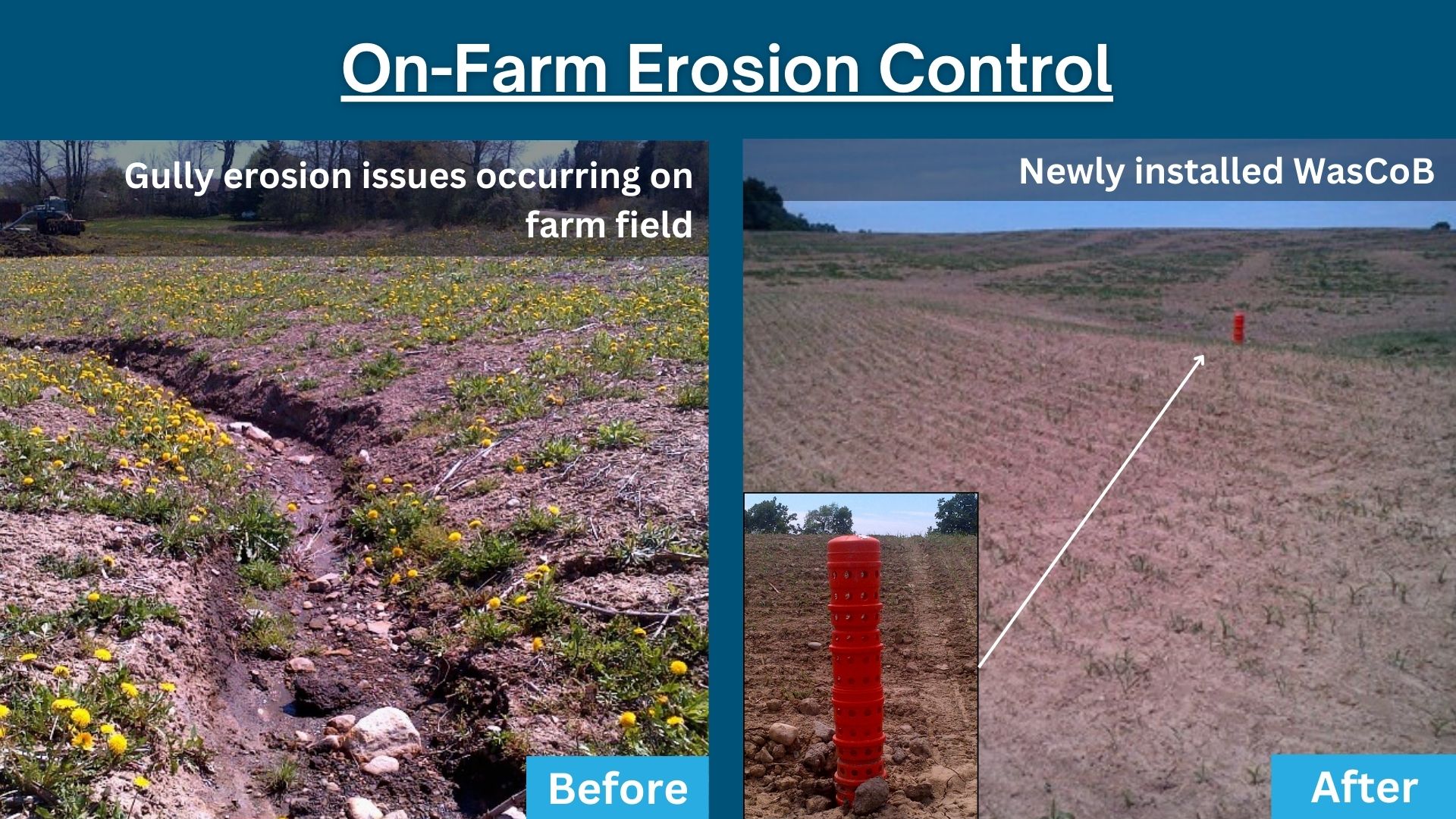 Erosion Control Structures Before After