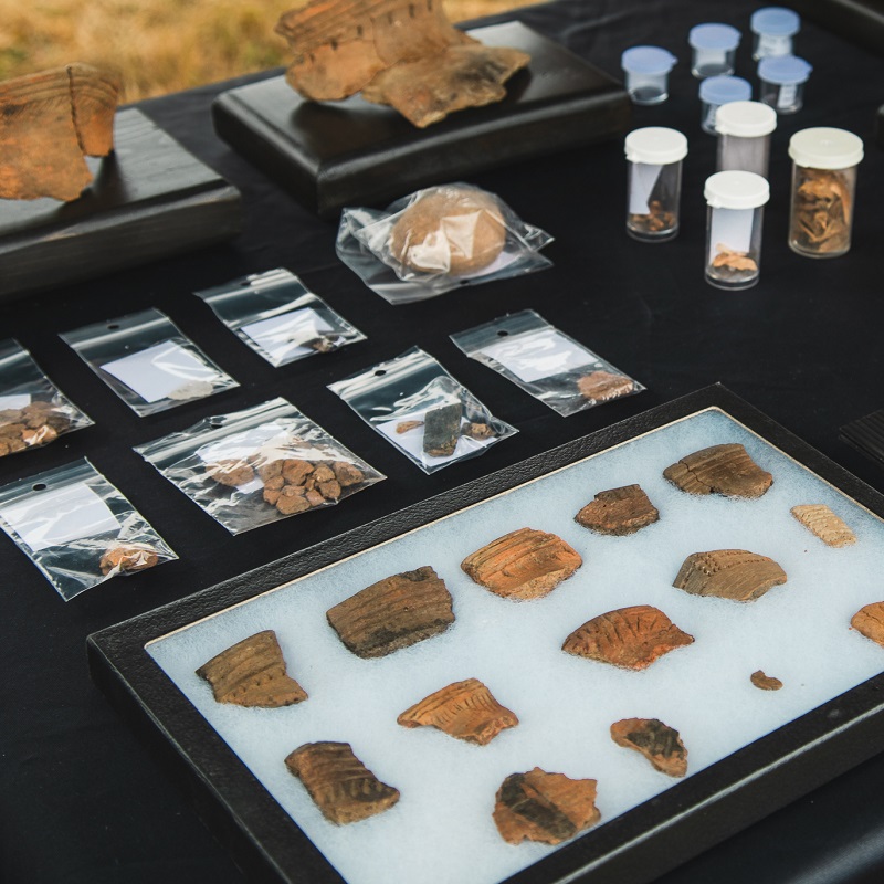 a display of artifacts recovered by students at the TRCA Boyd Archaeological Field School