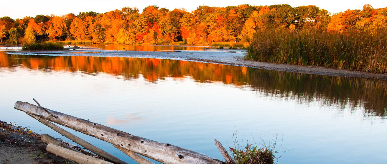 Rouge National Urban Park