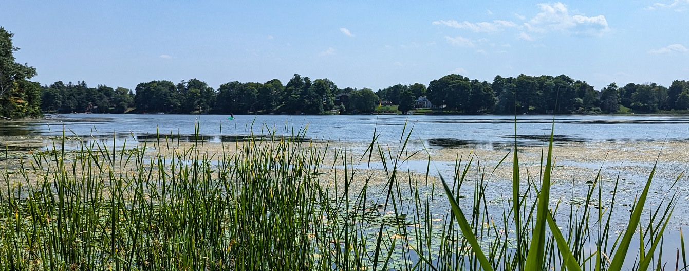 Preston Lake in the Rouge River watershed