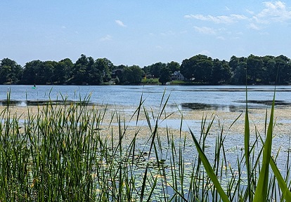 Preston Lake in the Rouge River Watershed