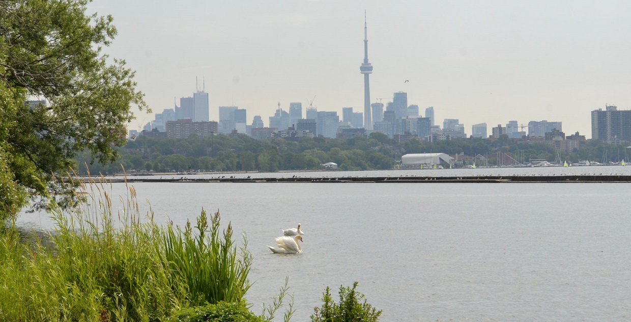 a view of the Lake Ontario Waterfront and the Toronto skyline