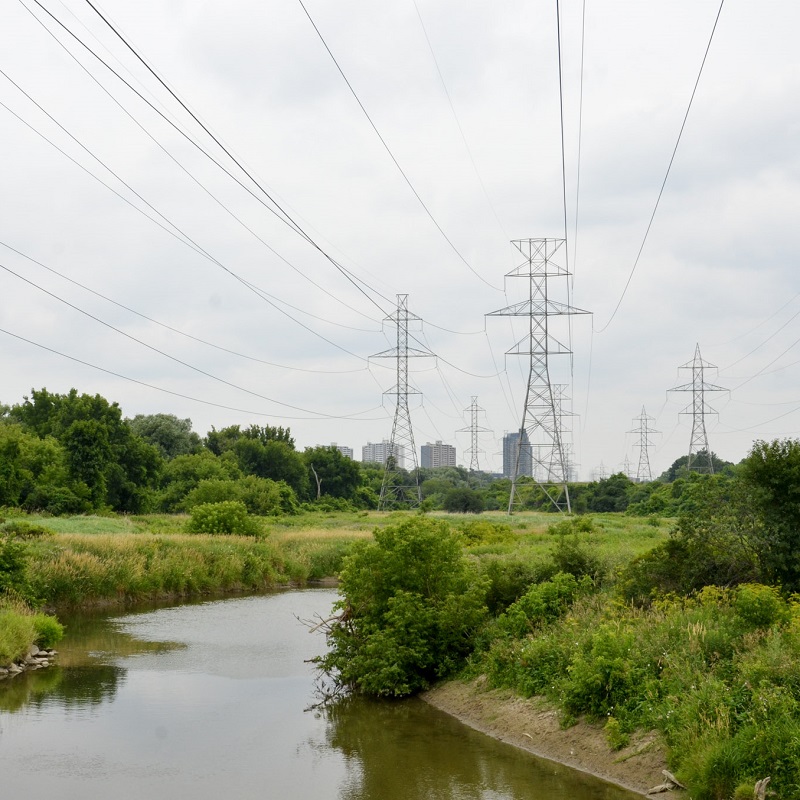 a hydro corridor on the banks of the Humber River