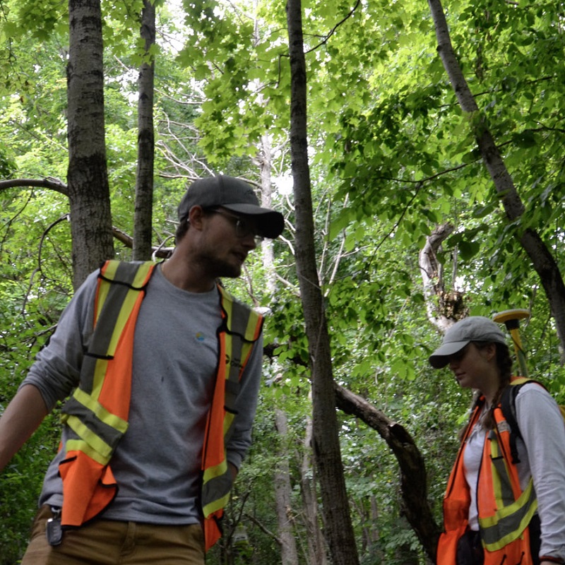 members of the TRCA urban forestry team at work in the field