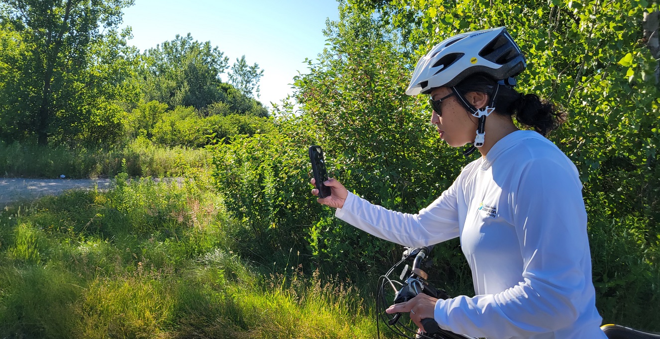 a cyclist explores the wilderness trails at Tommy Thompson Park