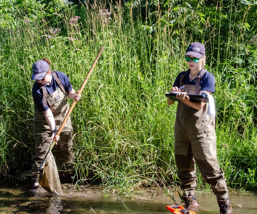 Members of the TRCA aquatic monitoring and management team conduct benthos sampling in the field