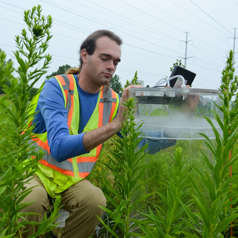 a university researcher conducts research into meadow habitats and plant communities in The Meadoway