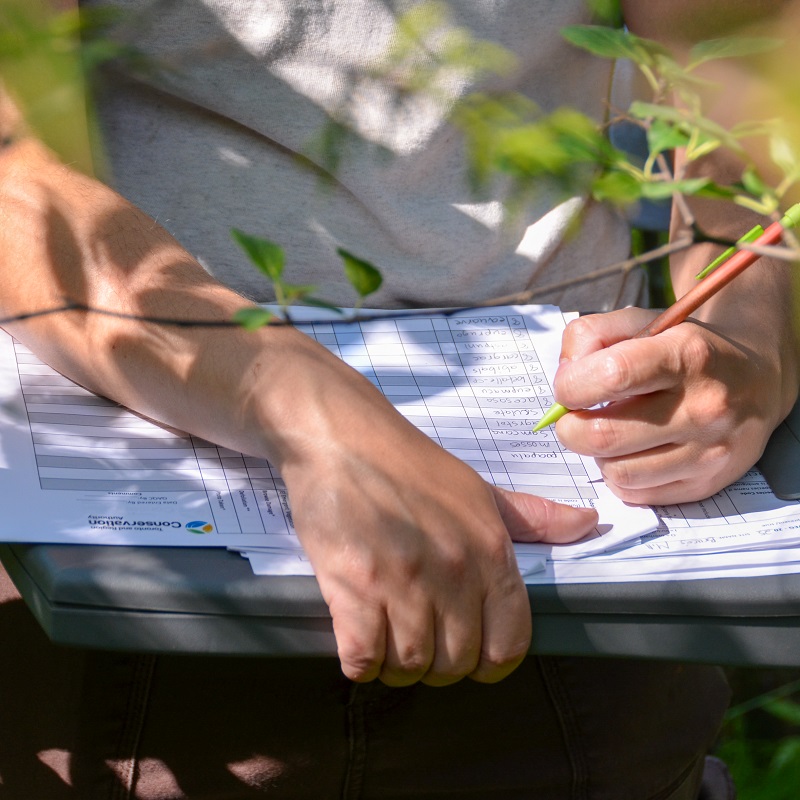 TRCA biologist conducts wetland monitoring in the field