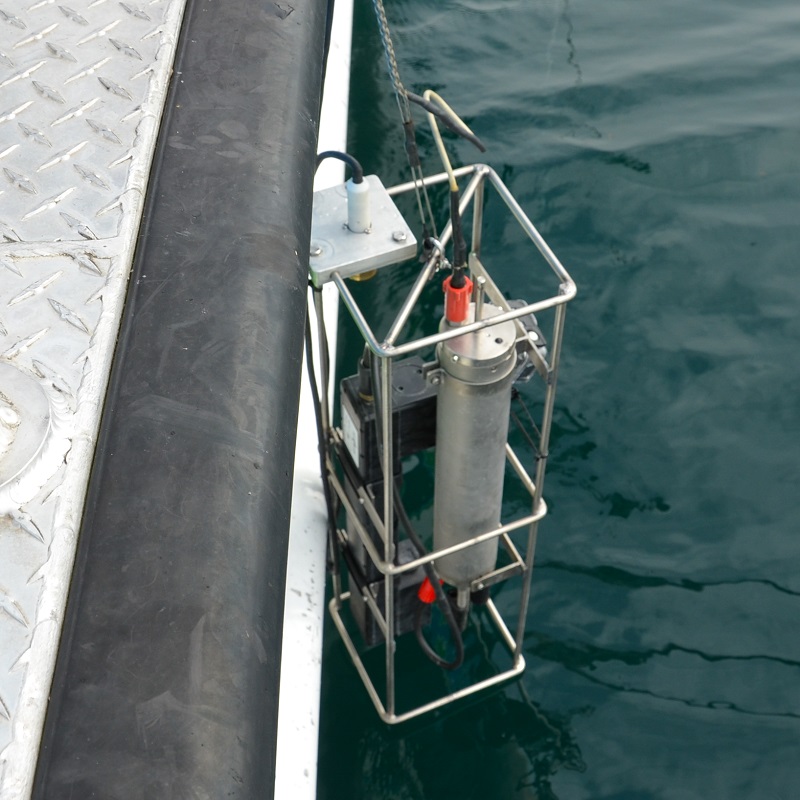 TRCA field staff conduct water quality monitoring on the Ajax waterfront