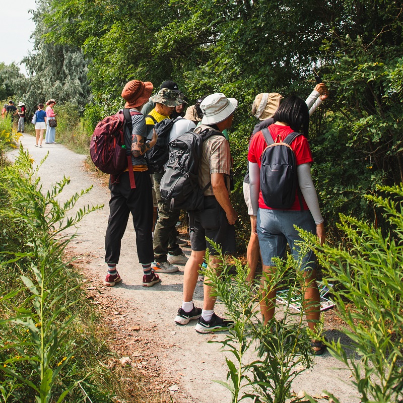community members explore the trails at Tommy Thompson Park looking for butterflies and other pollinators