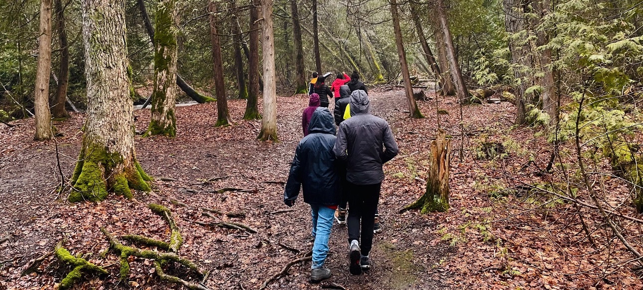 students explore a forest trail on an overnight field trip on an outdoor education centre