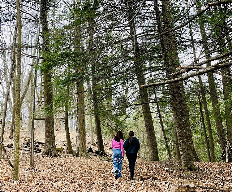 students explore a forest trail on an overnight field trip