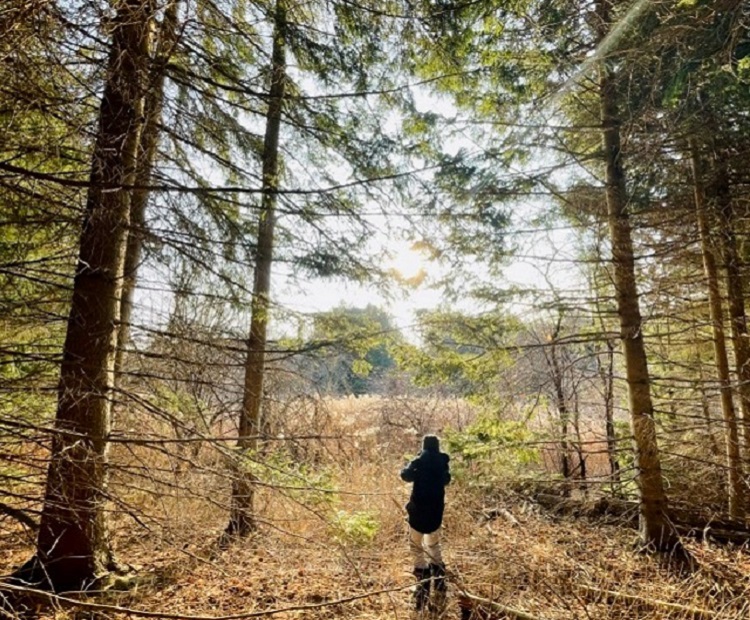 a student explores a forest trail on an overnight field trip