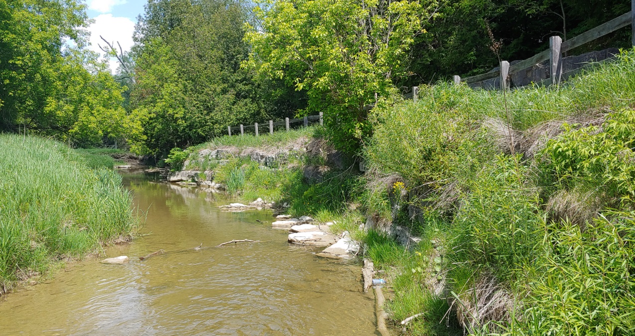 East Humber River bank stabilization project - failing armourstone wall