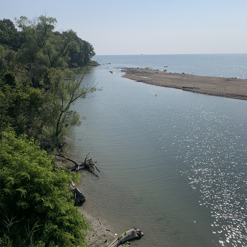 a view of the mouth of the Rouge River