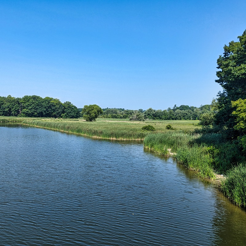 a view of Rouge Marsh