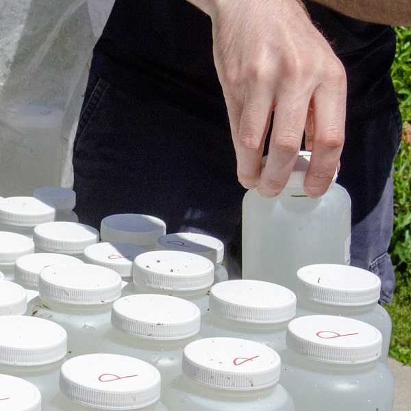 a TRCA team member collects stream water quality monitoring samples