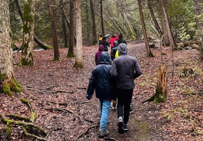students explore a forest trail on an overnight field trip on an outdoor education centre