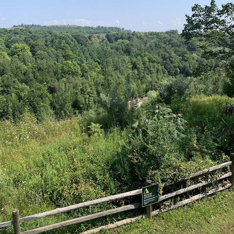 a scenic vista viewed from a lookout point on a trail at Rouge National Urban Park