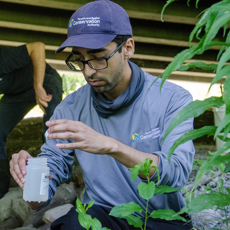 a TRCA team member conducts stream water quality monitoring in the field