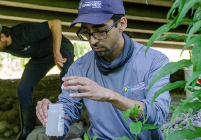 a TRCA team member conducts stream water quality monitoring in the field