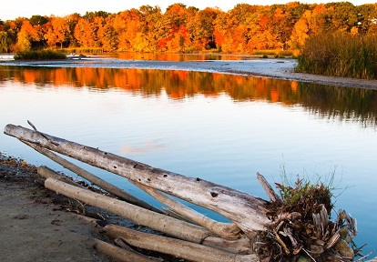 Rouge River Watershed Plan