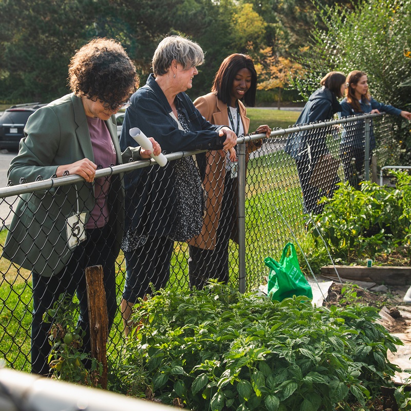 TRCA team members and dignitaries tour an urban agriculture project site in the Rexdale SNAP neighbourhood