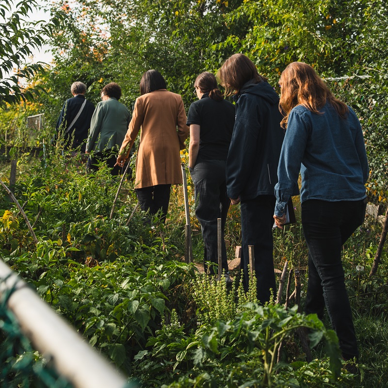 TRCA team members and dignitaries tour an urban agriculture project site in the Rexdale SNAP neighbourhood