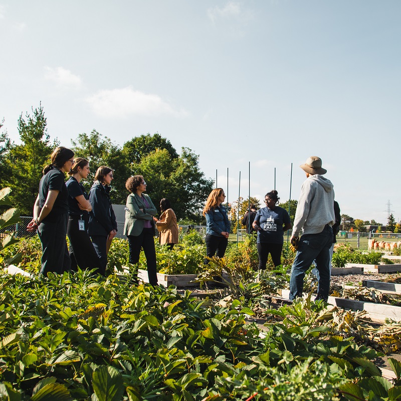 TRCA team members and dignitaries tour an urban agriculture project site in the Rexdale SNAP neighbourhood