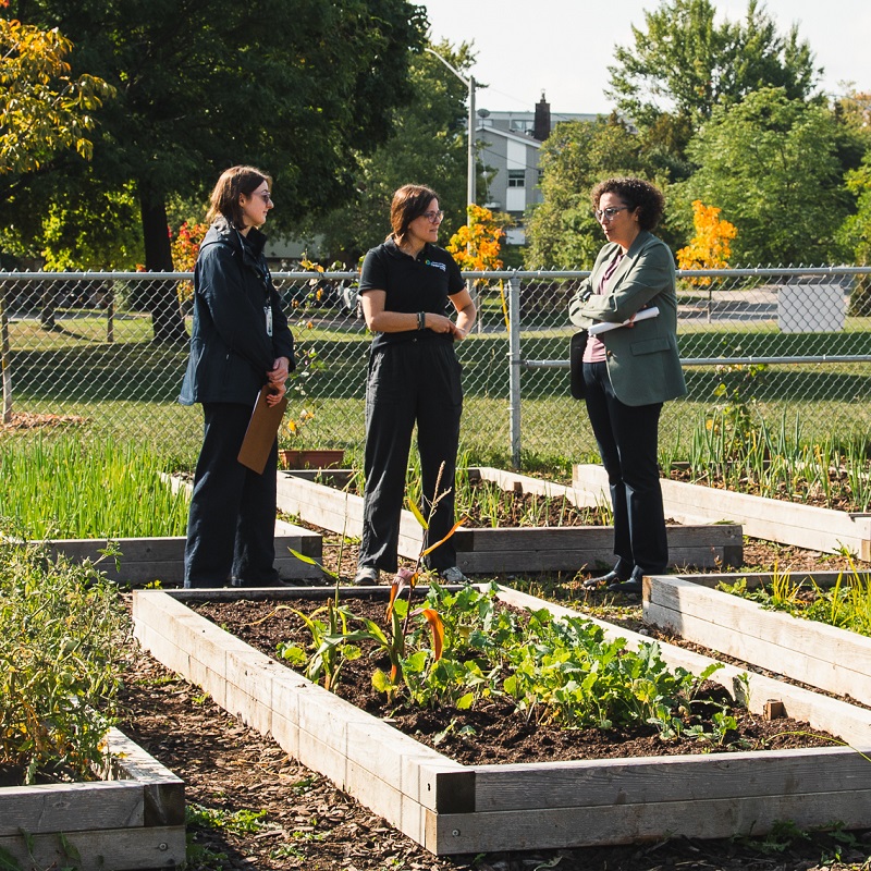 TRCA team members and dignitaries tour an urban agriculture project site in the Rexdale SNAP neighbourhood