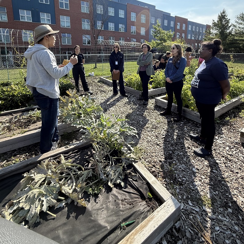 TRCA team members and dignitaries tour an urban agriculture project site in the Rexdale SNAP neighbourhood