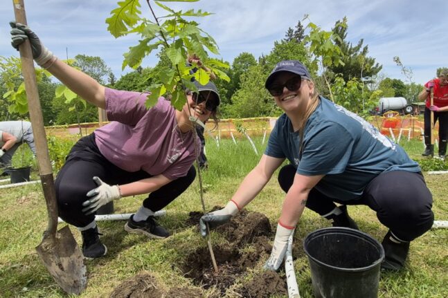 community members take part in a TRCA community stewardship tree planting event