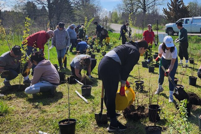 community members take part in a TRCA community stewardship tree planting event