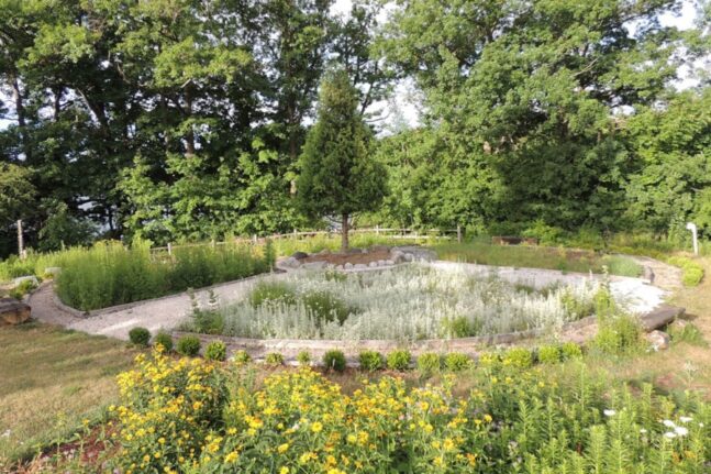 the medicine wheel garden at Heart Lake Conservation Park blooms in the summer