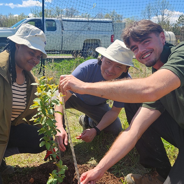 a TRCA team member works with volunteers on a community stewardship citizen science project