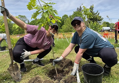 community members take part in a TRCA community stewardship tree planting event