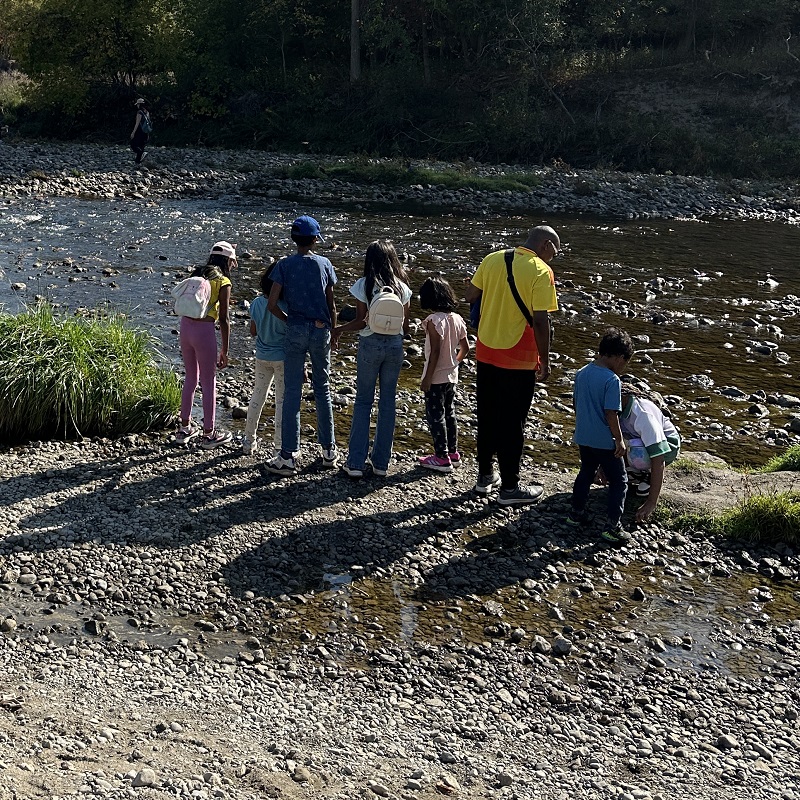 community members explore the banks of the Highland Creek during the TRCA Adventures of Salmon event