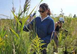 Programs for Teachers and Schools - Toronto and Region Conservation ...