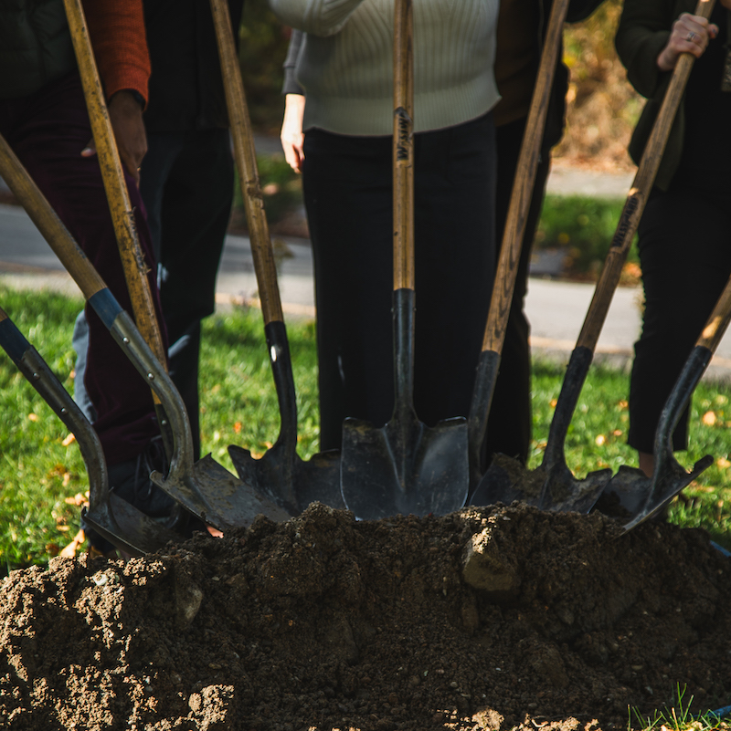 a set of shovels stand ready for the groundbreaking ceremony for the Brimley Road South multi-use trail