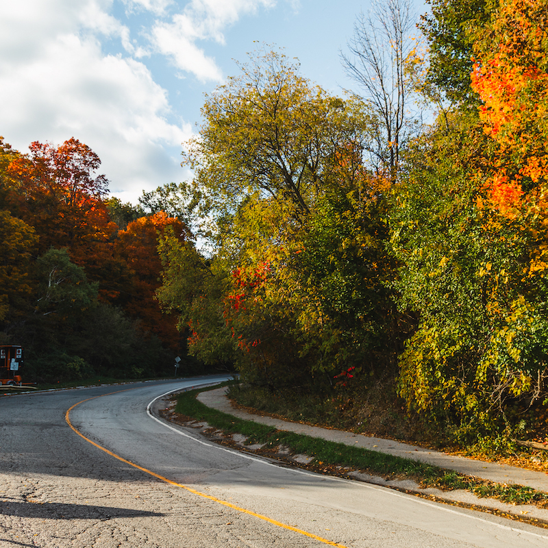 a view of Brimley Road south on a sunny fall day