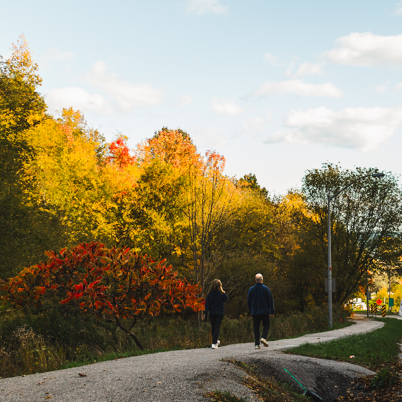 a view of Brimley Road south on a sunny fall day