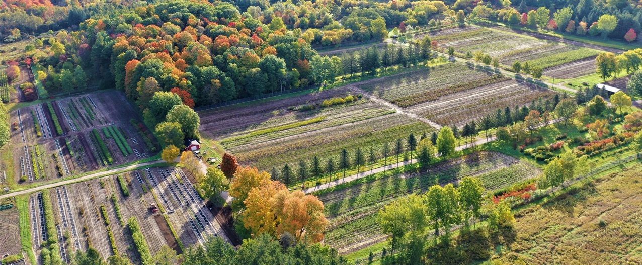 an aerial view of the TRCA Nursery in early autumn