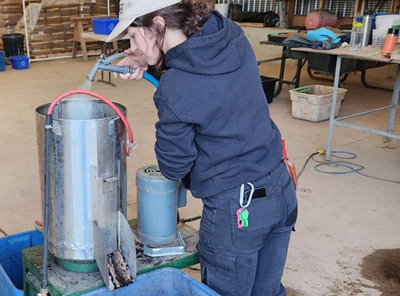 a TRCA Nursery team member uses a seed cleaner to macerate seeds