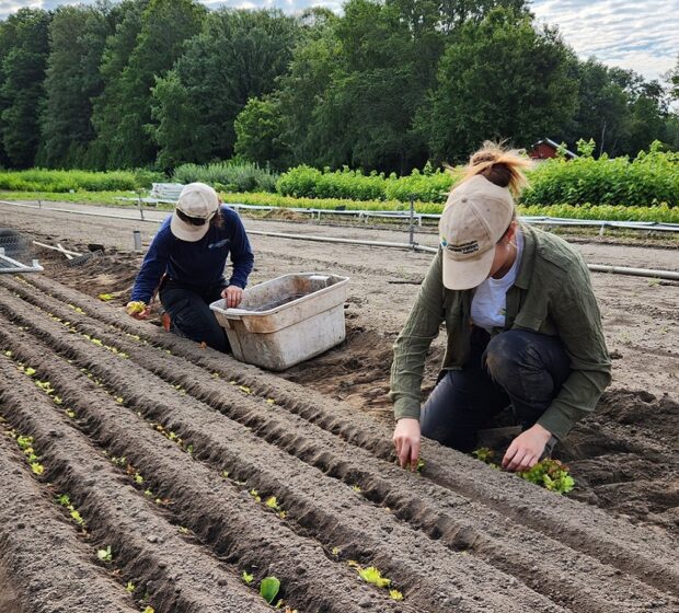 TRCA Nursery