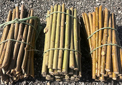 three bundles of willow stakes